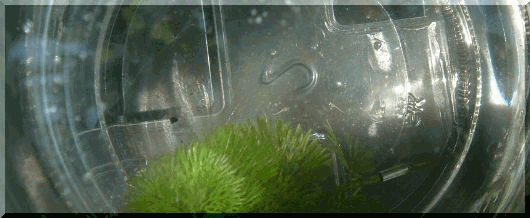 z@T